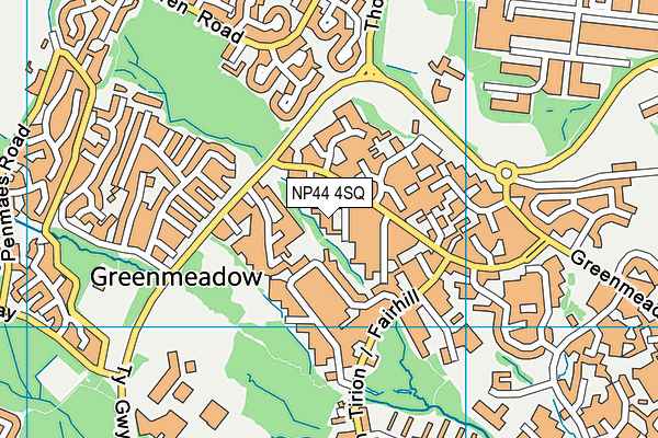 NP44 4SQ map - OS VectorMap District (Ordnance Survey) NP44 4SQ map - OS VectorMap District (Ordnance Survey)