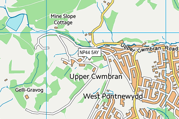 NP44 5AY map - OS VectorMap District (Ordnance Survey) NP44 5AY map - OS VectorMap District (Ordnance Survey)