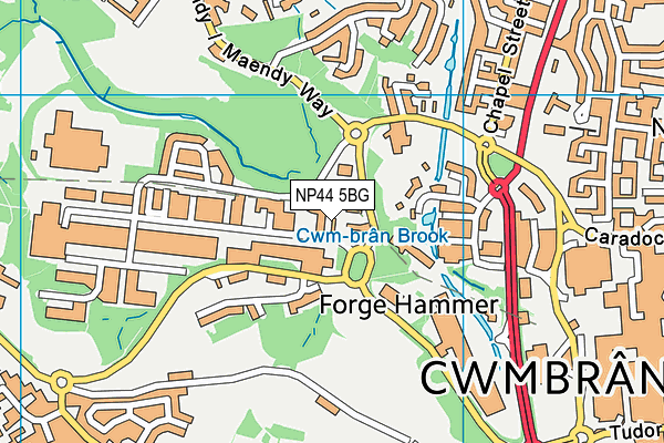 NP44 5BG map - OS VectorMap District (Ordnance Survey)
