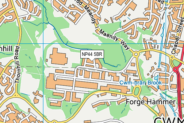 NP44 5BR map - OS VectorMap District (Ordnance Survey) NP44 5BR map - OS VectorMap District (Ordnance Survey)