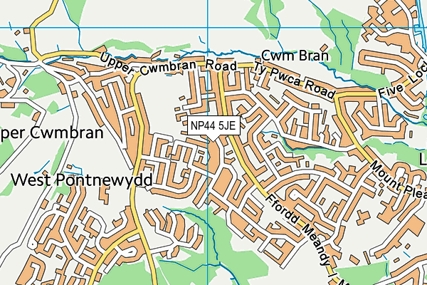 NP44 5JE map - OS VectorMap District (Ordnance Survey) NP44 5JE map - OS VectorMap District (Ordnance Survey)