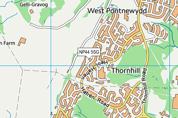 NP44 5SG map - OS VectorMap District (Ordnance Survey) NP44 5SG map - OS VectorMap District (Ordnance Survey)