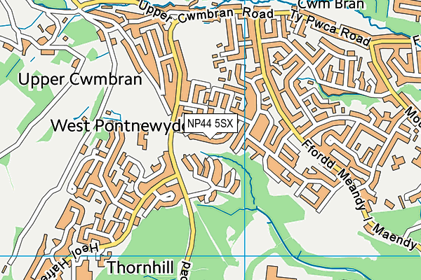 NP44 5SX map - OS VectorMap District (Ordnance Survey) NP44 5SX map - OS VectorMap District (Ordnance Survey)