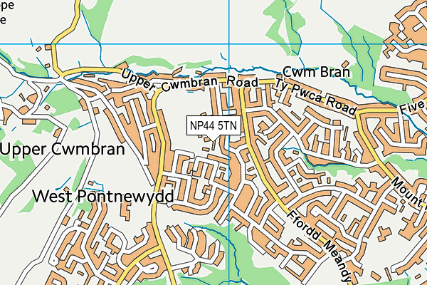 NP44 5TN map - OS VectorMap District (Ordnance Survey) NP44 5TN map - OS VectorMap District (Ordnance Survey)