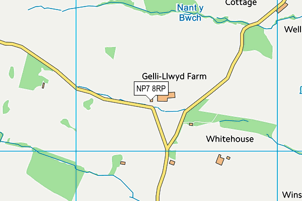 NP7 8RP map - OS VectorMap District (Ordnance Survey) NP7 8RP map - OS VectorMap District (Ordnance Survey)