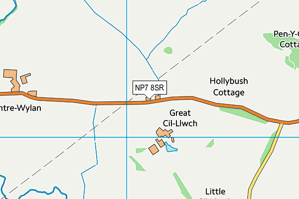 NP7 8SR map - OS VectorMap District (Ordnance Survey)