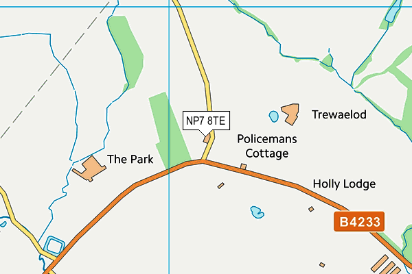 NP7 8TE map - OS VectorMap District (Ordnance Survey) NP7 8TE map - OS VectorMap District (Ordnance Survey)