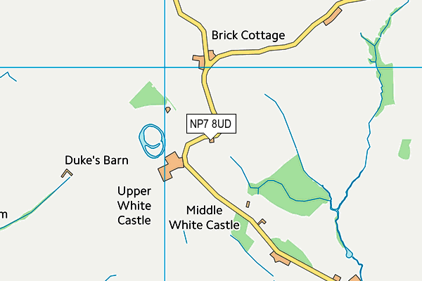 NP7 8UD map - OS VectorMap District (Ordnance Survey)
