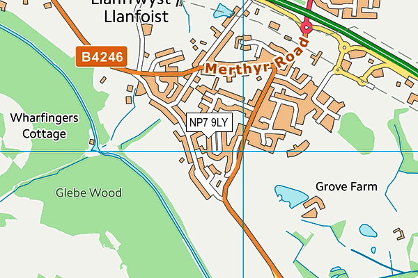 NP7 9LY map - OS VectorMap District (Ordnance Survey) NP7 9LY map - OS VectorMap District (Ordnance Survey)