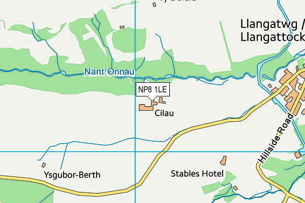 NP8 1LE map - OS VectorMap District (Ordnance Survey) NP8 1LE map - OS VectorMap District (Ordnance Survey)