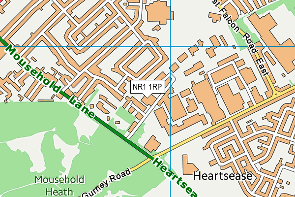 NR1 1RP map - OS VectorMap District (Ordnance Survey) NR1 1RP map - OS VectorMap District (Ordnance Survey)