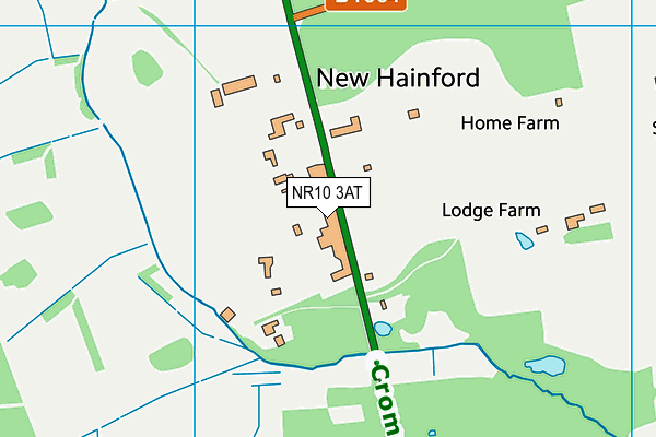NR10 3AT map - OS VectorMap District (Ordnance Survey) NR10 3AT map - OS VectorMap District (Ordnance Survey)
