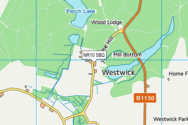 NR10 5BQ map - OS VectorMap District (Ordnance Survey)