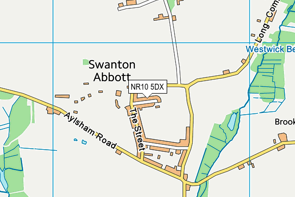NR10 5DX map - OS VectorMap District (Ordnance Survey) NR10 5DX map - OS VectorMap District (Ordnance Survey)