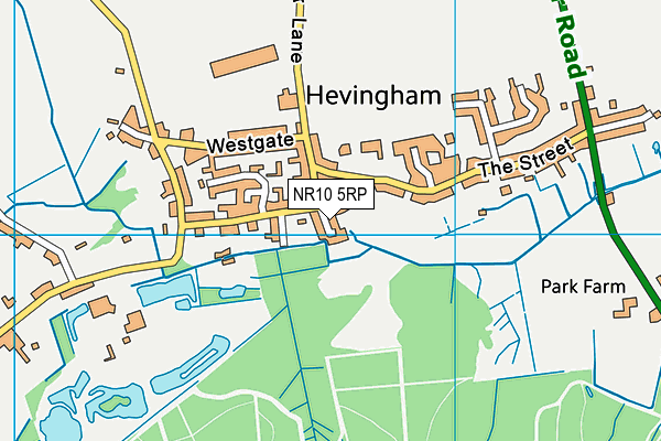 NR10 5RP map - OS VectorMap District (Ordnance Survey) NR10 5RP map - OS VectorMap District (Ordnance Survey)