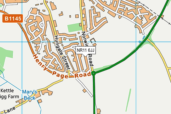 NR11 6JJ map - OS VectorMap District (Ordnance Survey) NR11 6JJ map - OS VectorMap District (Ordnance Survey)
