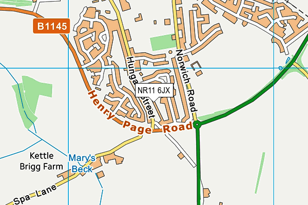 NR11 6JX map - OS VectorMap District (Ordnance Survey) NR11 6JX map - OS VectorMap District (Ordnance Survey)