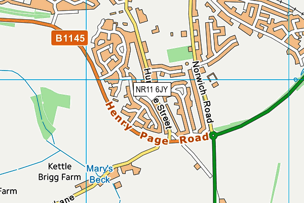NR11 6JY map - OS VectorMap District (Ordnance Survey) NR11 6JY map - OS VectorMap District (Ordnance Survey)