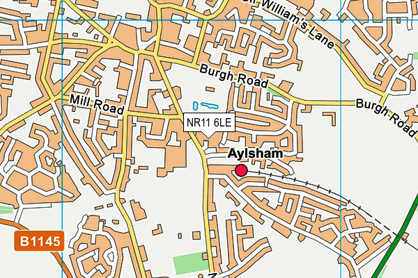 NR11 6LE map - OS VectorMap District (Ordnance Survey) NR11 6LE map - OS VectorMap District (Ordnance Survey)