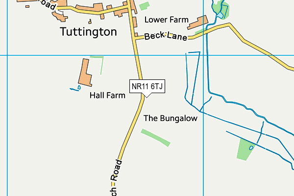 NR11 6TJ map - OS VectorMap District (Ordnance Survey)
