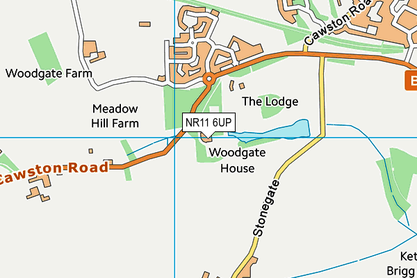 NR11 6UP map - OS VectorMap District (Ordnance Survey) NR11 6UP map - OS VectorMap District (Ordnance Survey)