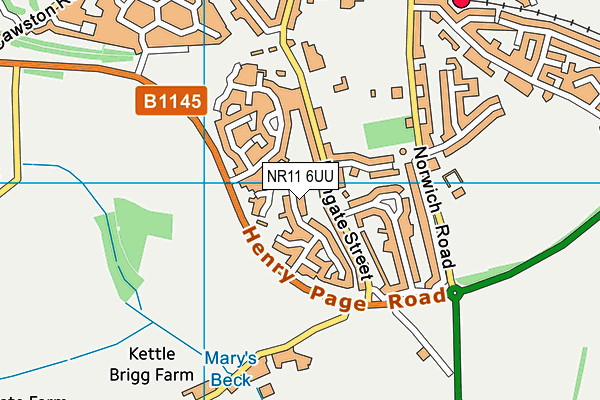NR11 6UU map - OS VectorMap District (Ordnance Survey)