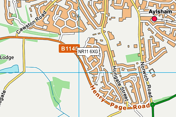 NR11 6XG map - OS VectorMap District (Ordnance Survey)