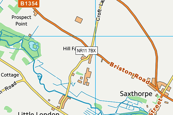 NR11 7BX map - OS VectorMap District (Ordnance Survey)