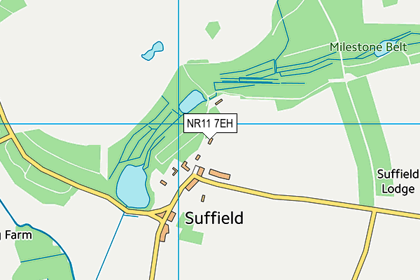 NR11 7EH map - OS VectorMap District (Ordnance Survey) NR11 7EH map - OS VectorMap District (Ordnance Survey)