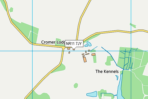 NR11 7JY map - OS VectorMap District (Ordnance Survey)