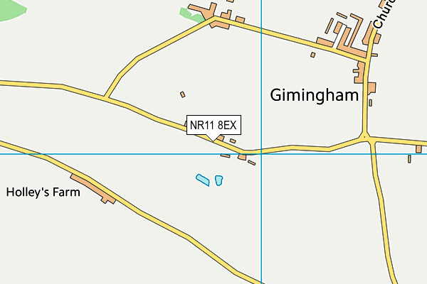 NR11 8EX map - OS VectorMap District (Ordnance Survey)