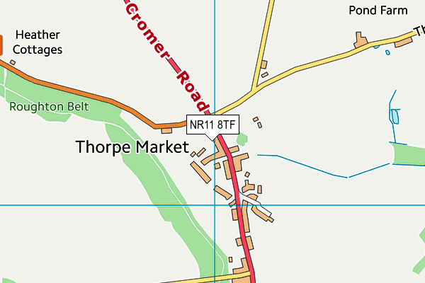 NR11 8TF map - OS VectorMap District (Ordnance Survey)