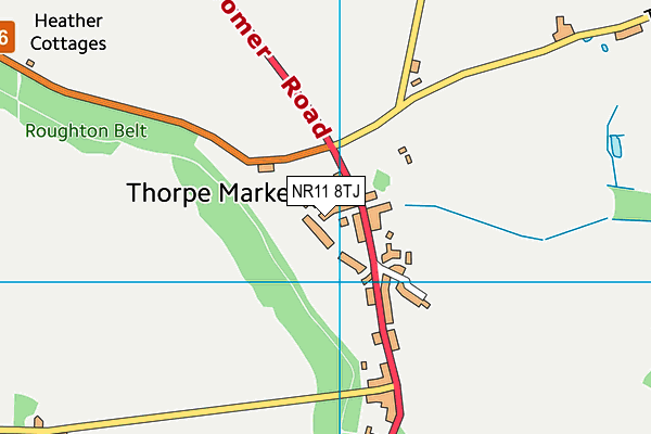NR11 8TJ map - OS VectorMap District (Ordnance Survey) NR11 8TJ map - OS VectorMap District (Ordnance Survey)