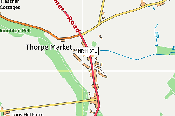 NR11 8TL map - OS VectorMap District (Ordnance Survey)