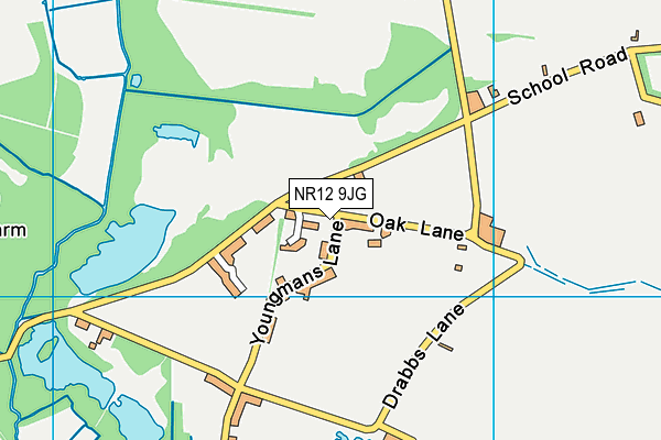 NR12 9JG map - OS VectorMap District (Ordnance Survey) NR12 9JG map - OS VectorMap District (Ordnance Survey)