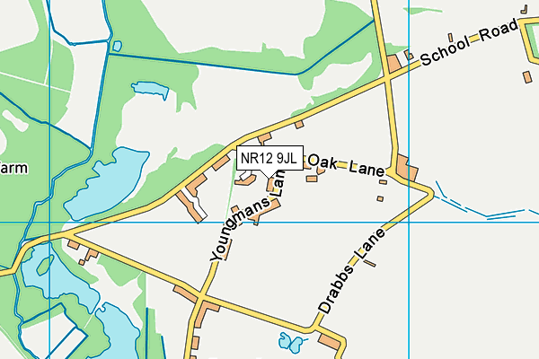 NR12 9JL map - OS VectorMap District (Ordnance Survey) NR12 9JL map - OS VectorMap District (Ordnance Survey)