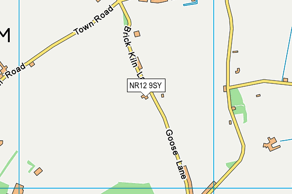 NR12 9SY map - OS VectorMap District (Ordnance Survey) NR12 9SY map - OS VectorMap District (Ordnance Survey)
