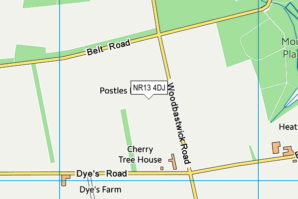 NR13 4DJ map - OS VectorMap District (Ordnance Survey)
