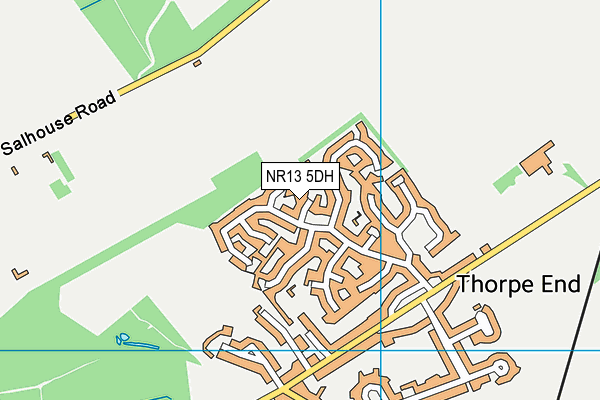 NR13 5DH map - OS VectorMap District (Ordnance Survey) NR13 5DH map - OS VectorMap District (Ordnance Survey)