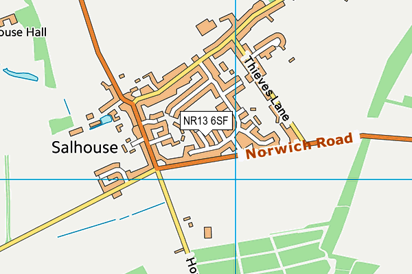NR13 6SF map - OS VectorMap District (Ordnance Survey)