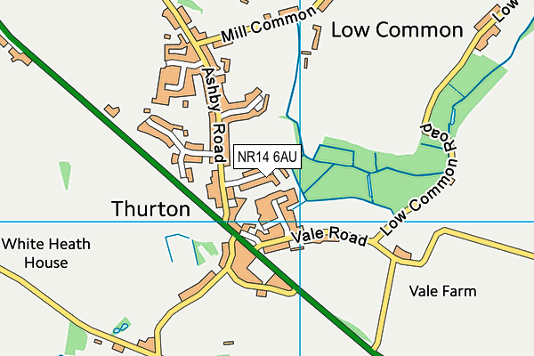 NR14 6AU map - OS VectorMap District (Ordnance Survey)