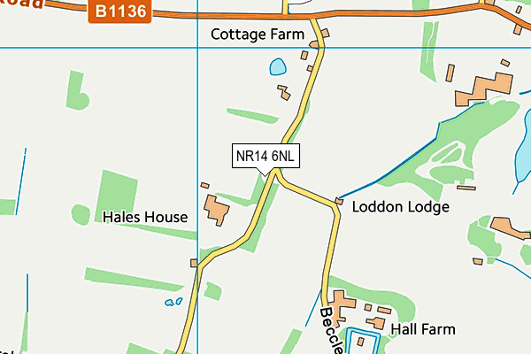 NR14 6NL map - OS VectorMap District (Ordnance Survey) NR14 6NL map - OS VectorMap District (Ordnance Survey)
