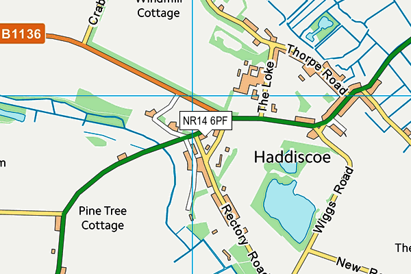 NR14 6PF map - OS VectorMap District (Ordnance Survey)