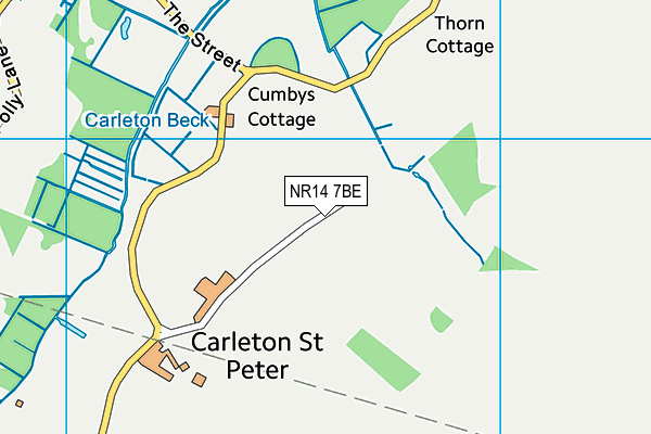 NR14 7BE map - OS VectorMap District (Ordnance Survey) NR14 7BE map - OS VectorMap District (Ordnance Survey)