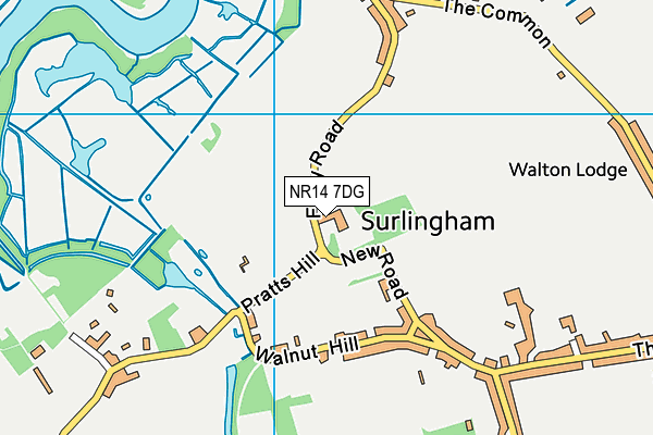 NR14 7DG map - OS VectorMap District (Ordnance Survey) NR14 7DG map - OS VectorMap District (Ordnance Survey)