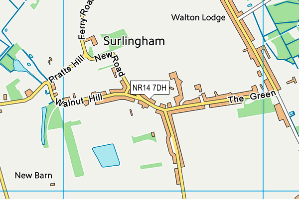 NR14 7DH map - OS VectorMap District (Ordnance Survey) NR14 7DH map - OS VectorMap District (Ordnance Survey)