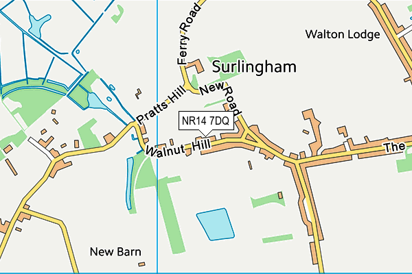 NR14 7DQ map - OS VectorMap District (Ordnance Survey)