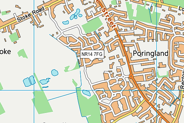 NR14 7FG map - OS VectorMap District (Ordnance Survey) NR14 7FG map - OS VectorMap District (Ordnance Survey)