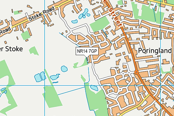 NR14 7GP map - OS VectorMap District (Ordnance Survey) NR14 7GP map - OS VectorMap District (Ordnance Survey)