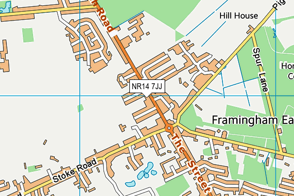 NR14 7JJ map - OS VectorMap District (Ordnance Survey)